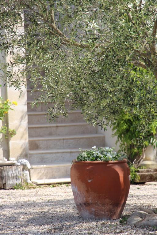 Sous Les Platanes B&B Châteaurenard Dış mekan fotoğraf