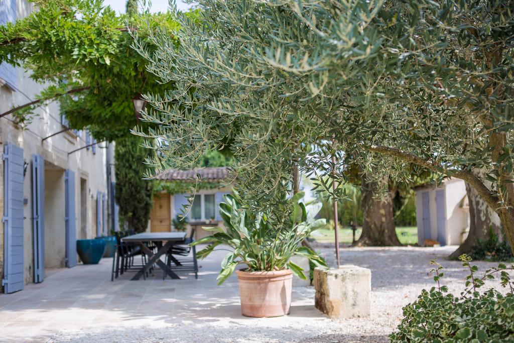 Sous Les Platanes B&B Châteaurenard Dış mekan fotoğraf