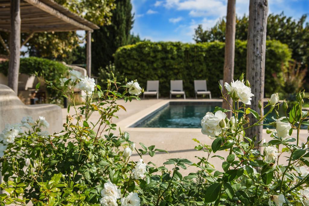 Sous Les Platanes B&B Châteaurenard Dış mekan fotoğraf