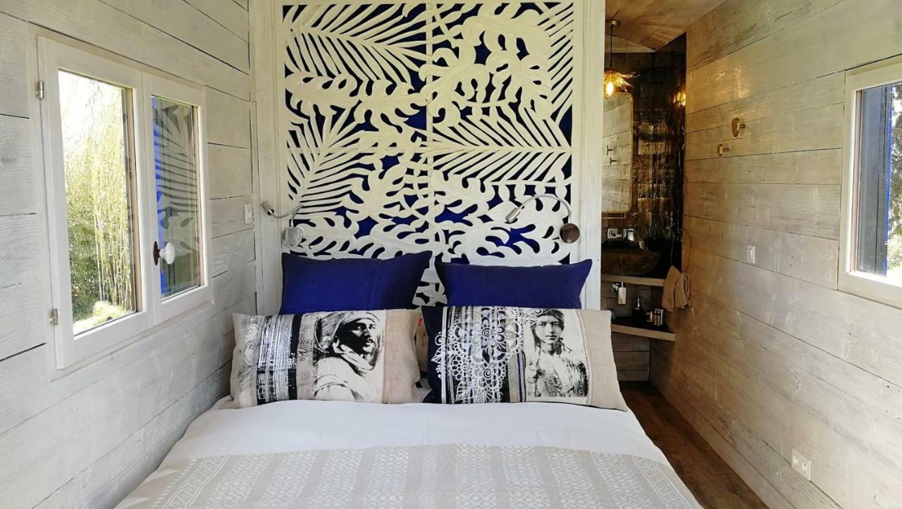 Sous Les Platanes B&B Châteaurenard Dış mekan fotoğraf